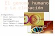 El genoma humano y la clonación