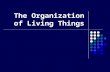 Powerpoint 43-the-organization-of-living-things-1193101911304994-3