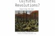 Dennison Hist a390 cultural revolutions