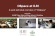 DSpace at ILRI: A semi-technical overview of “CGSpace”