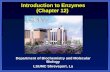 Ch12 enzymes