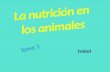 La nutrición en los animales. tema 1