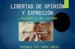 Libertad de opinión y expresión