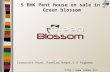 5 bhk pent house on sale in green blossom at corporate road, prahlad nagar,satellite.