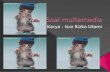 Soal multimedia sdit ar rahmah karya rizka