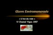 1987 Oeuvre environnementale / L'ère du vide