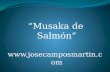 Musaka de salmón