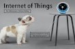 thinkLA Internet of Things 2015 Presentation Slides