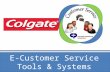 Presentacion Final E-Customer Service Tools & systems