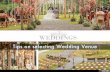 Tips on Selecting Wedding Venue