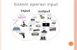 Sistem operasi input output