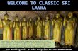 Best of 10 days Classic tour of Sri-Lanka| Sri-Lanka Tour Packages
