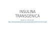 Insulina transgénica
