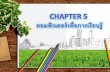 Chapter5 คอมพิวเตอเพื่อการเรียนรู้