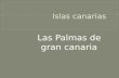 Las Palmas de Gran Canaria - Felipe