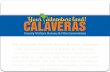 2015 CVB Presentation to the Calaveras County Board of Supervisors