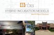 Hybrid Business Incubation Models (NBIA 2015)