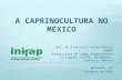 A caprinocultura no México
