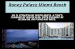 Roney palace miami beach (3)