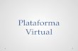 Informe plataforma virtual