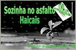 SOZINHA NO ASFALTO-HAICAIS