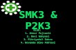 SMK3 & P2K3