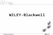 Wiley blackwell