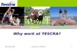 Why Work At Tescra ?