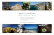 Andros routes leaflet