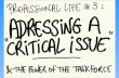 Professional life critical_issue
