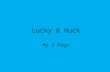 Lucky & Huck
