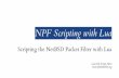 NPF scripting with Lua by Lourival Vieira Neto