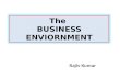 THE BUSINESS ENVIORNMENT