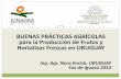 Nora Enrich - “BUENAS PRÁCTICAS AGRÍCOLAS para la Producción de Frutas y Hortalizas Frescas en URUGUAY” - Boas Práticas Agropecuárias e Produção Integrada - De 11 a 14 de