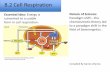 8.2 Cell Respiration