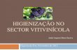 Higienização no sector vitivinicola