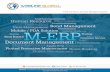 Enterprise Process Optimization with Modular-ERP