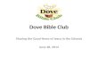 Dove bible club pastor's presentation 2014pp