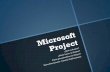 Microsoft project2