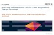 RDz Lunch and Learn Series - RDz for COBOL Programmers - Tips and Techniques