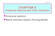 Fm11 chapter 8 Financial Options and Their Valuiation