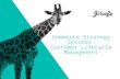 Jirafe Ecommerce Strategy Session: Customer Lifecycle Management