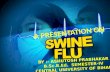 Swine flu by Ashutosh Prabhakar