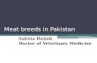 Meat breeds in Pakistan