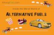 The Weird and Wonderful World of Alternative Fuels