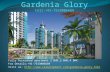 Gardenia Glory