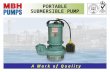 Portable Submersible Pump