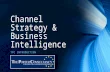 Channel Strategy & Business Intelligence @ TPC