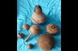 Presentation1 vases gourds-baskets