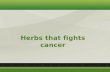 Herbs That Fights Cancer